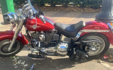 Harley-Davidson-Fatboy-1991-5