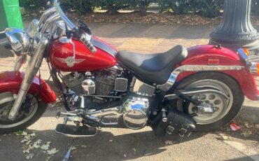 Harley-Davidson-Fatboy-1991-6