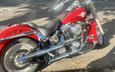 Harley-Davidson-Fatboy-1991-7