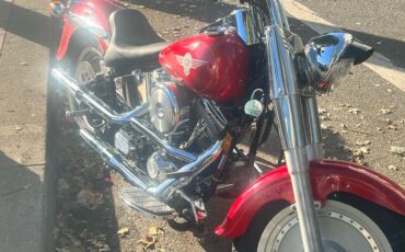 Harley-Davidson-Fatboy-1991-8