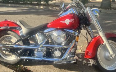 Harley-Davidson-Fatboy-1991-9