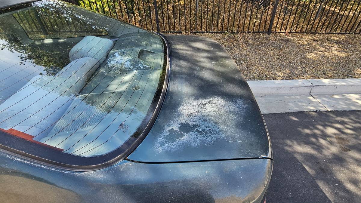 Honda-civic-ex-1996-green-12