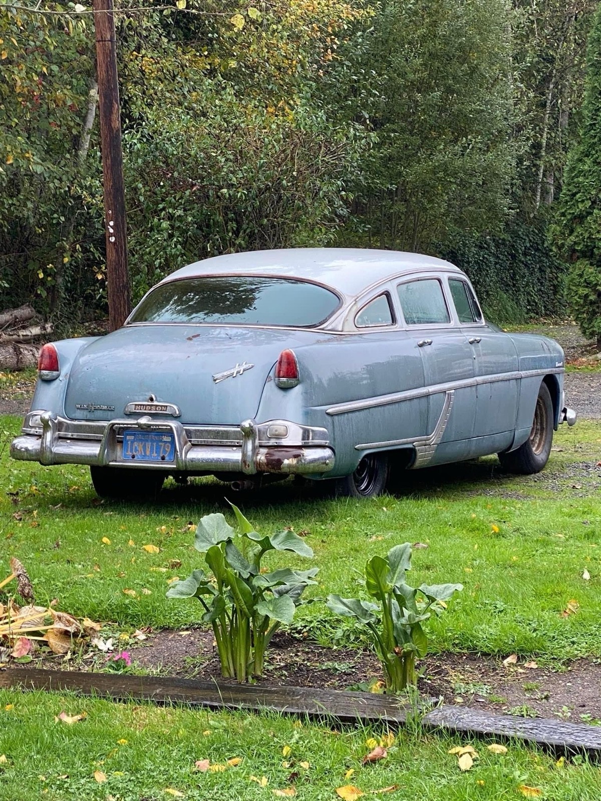 Hudson-Hornet-1954-1