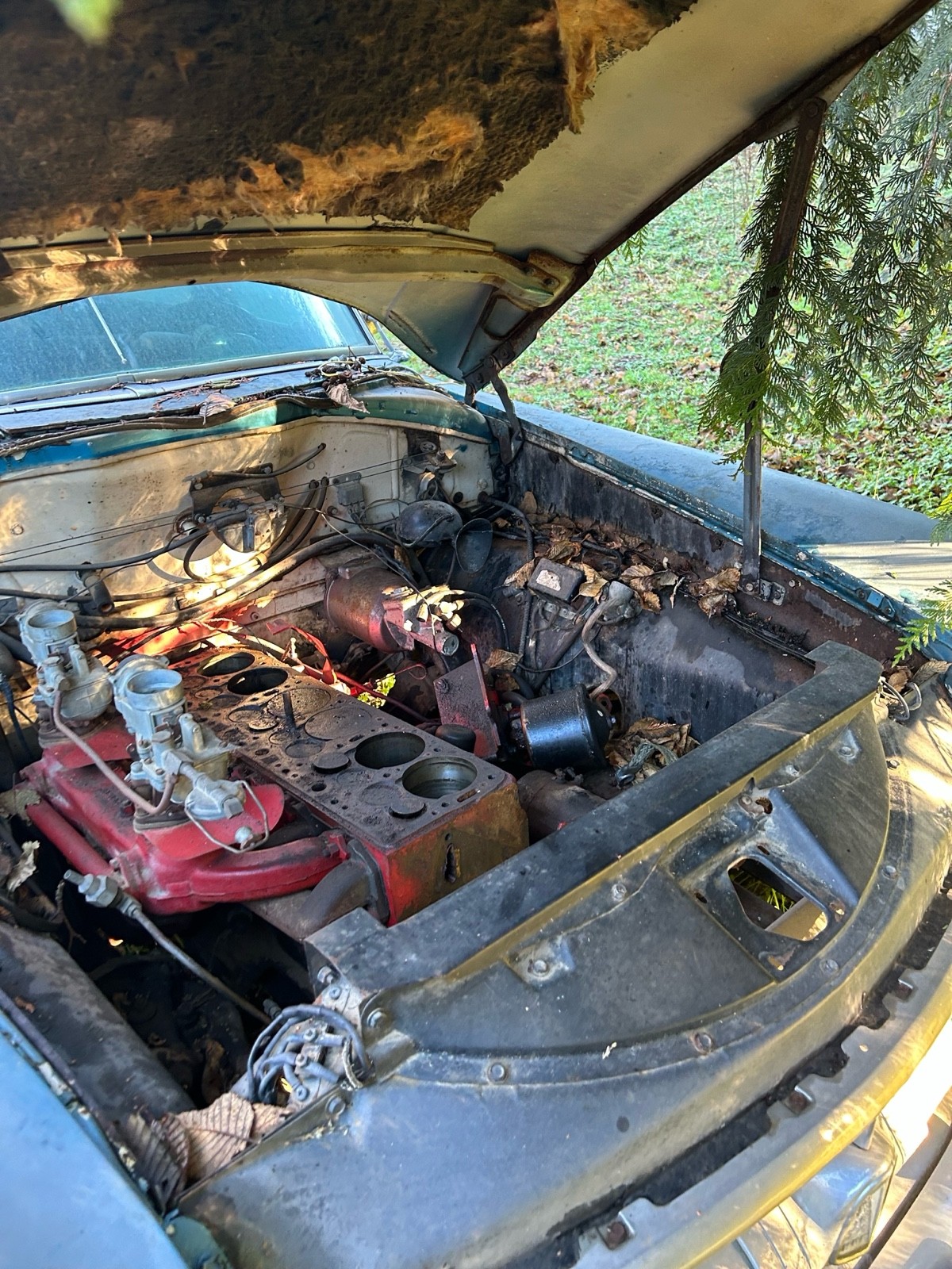 Hudson-Hornet-1954-15