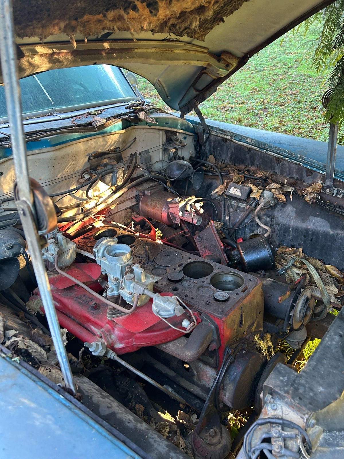 Hudson-Hornet-1954-16