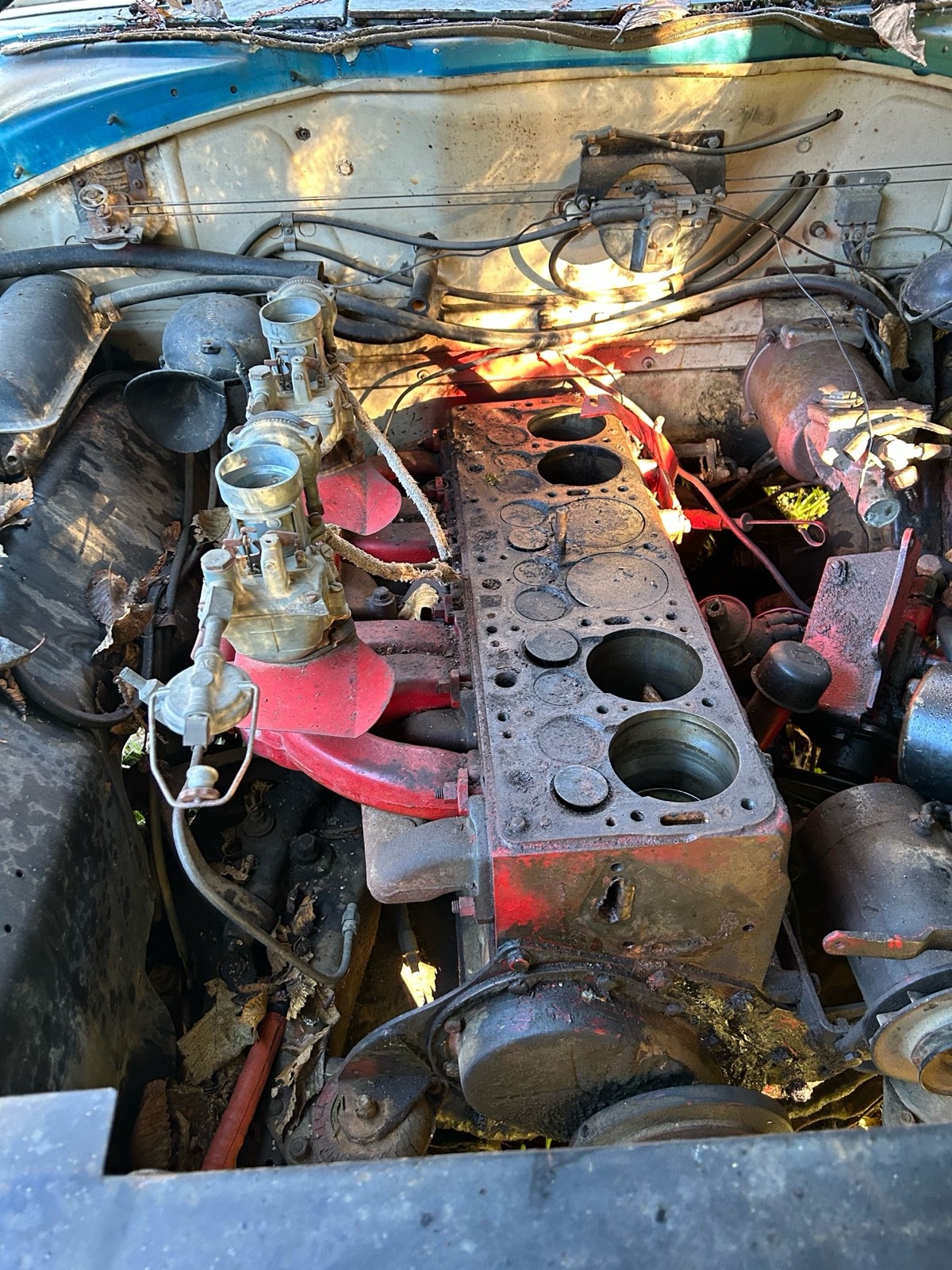 Hudson-Hornet-1954-18