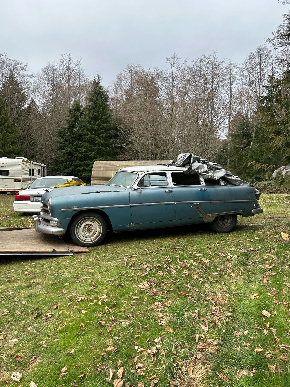 Hudson-Hornet-1954-6