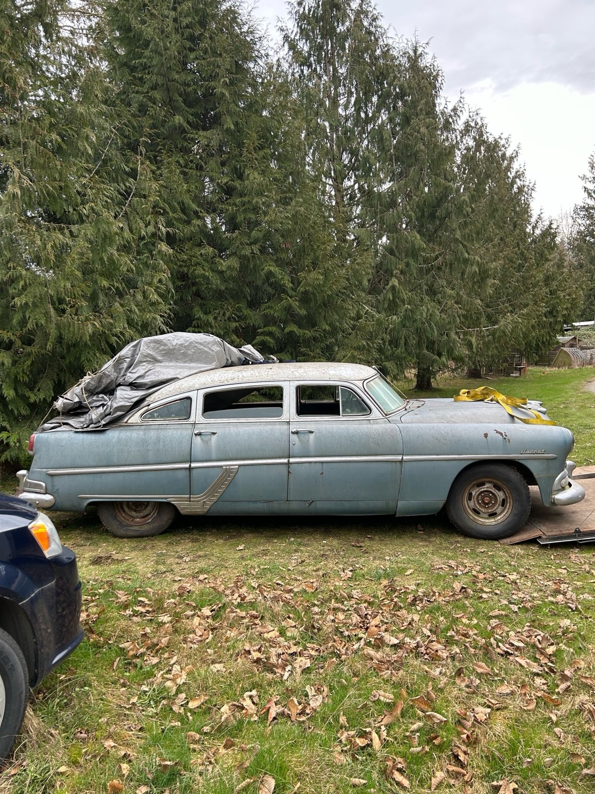 Hudson-Hornet-1954-7