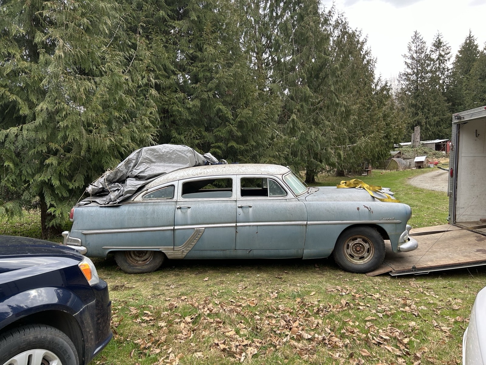 Hudson-Hornet-1954-8
