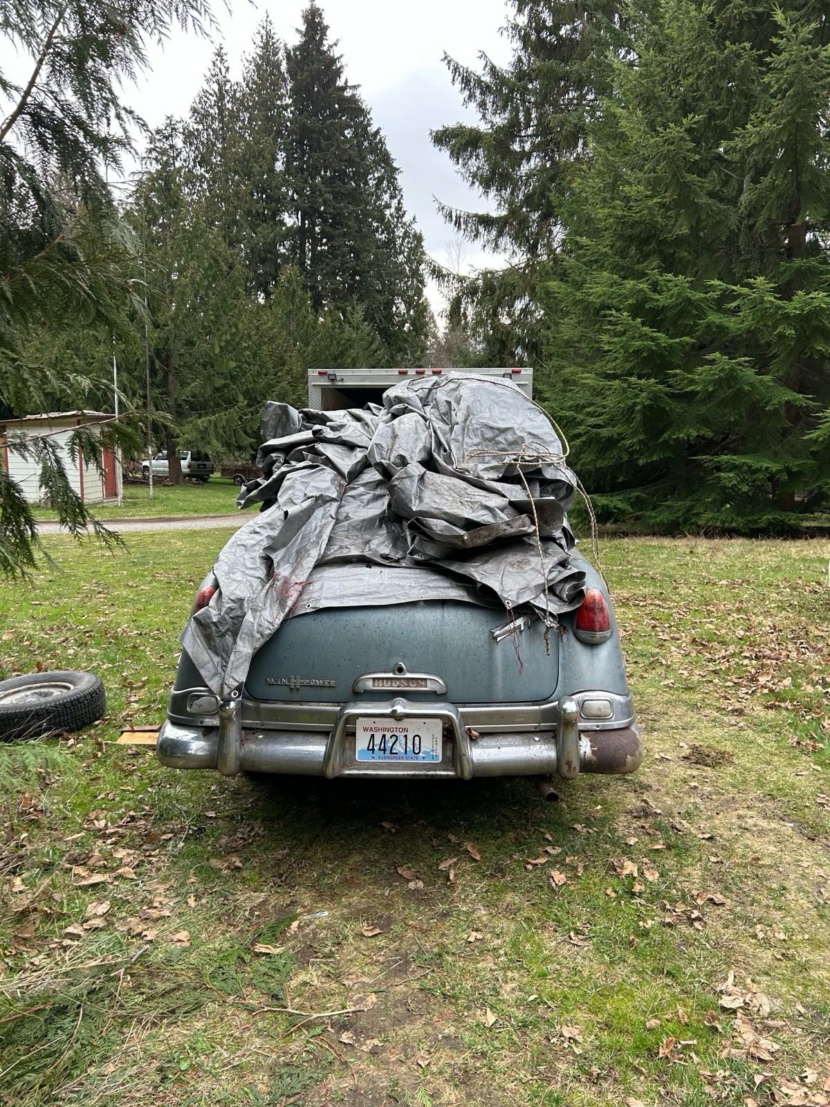 Hudson-Hornet-1954-9