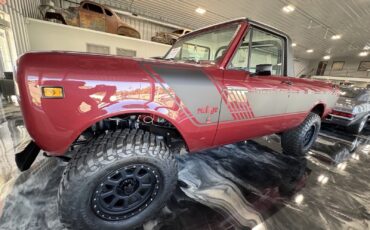 International-Terra-1979-1