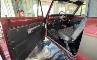 International-Terra-1979-10