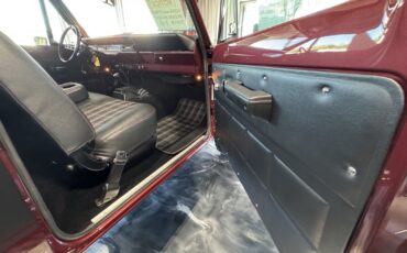 International-Terra-1979-14