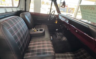 International-Terra-1979-15