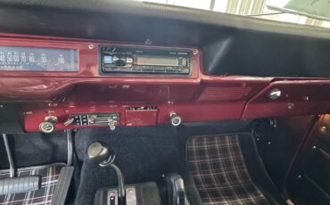 International-Terra-1979-16