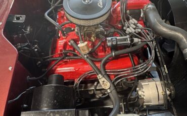 International-Terra-1979-18