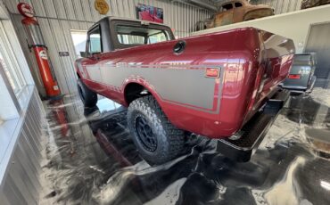 International-Terra-1979-2