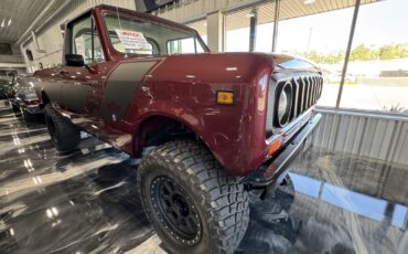 International-Terra-1979-3