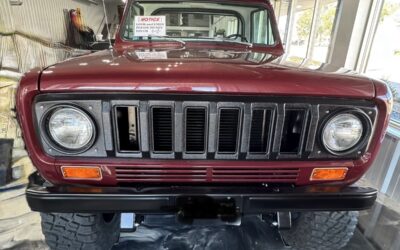 International Terra 1979