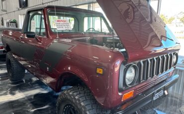 International-Terra-1979-5