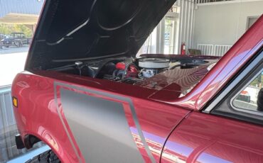 International-Terra-1979-6