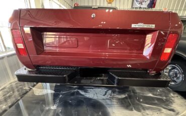 International-Terra-1979-7