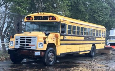 International-dt466-diesel-1989-yellow-5