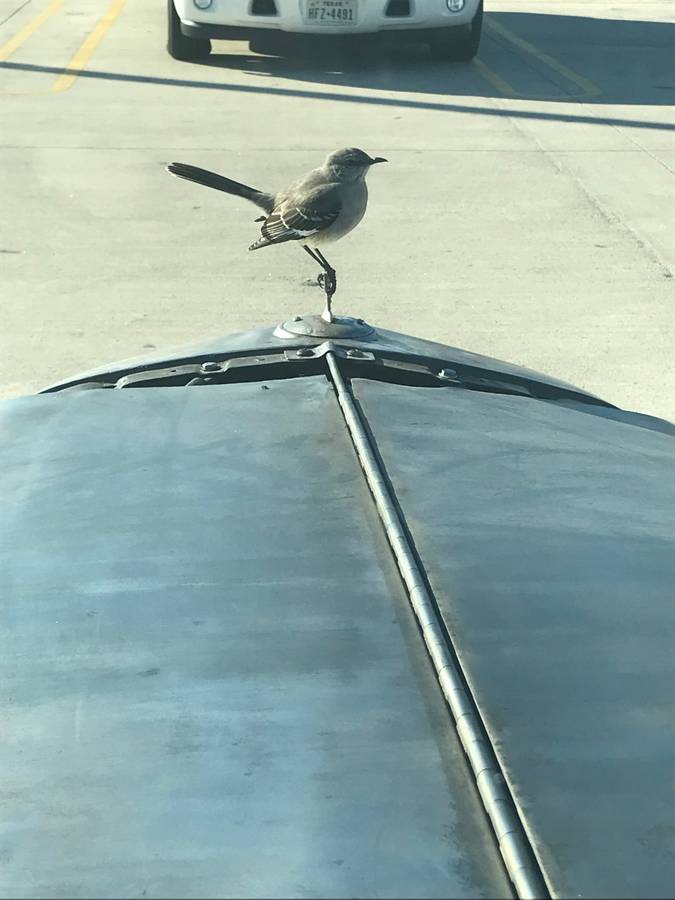 International-harvester-pu-1934-silver-12