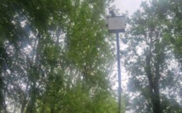 International-navistar-4900-diesel-1989-white-11