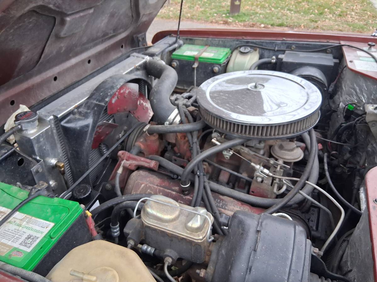 International-scout-ii-1980-1