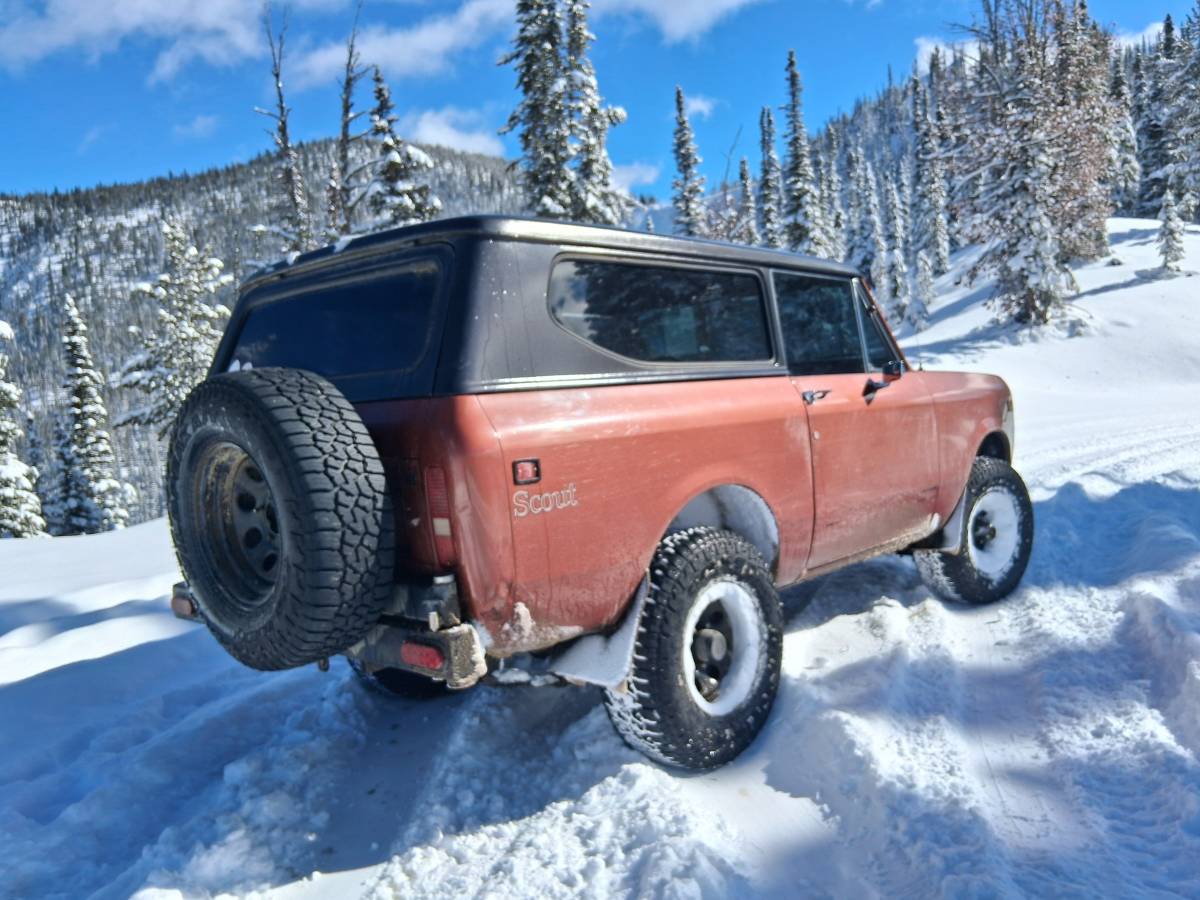 International-scout-ii-1980-3