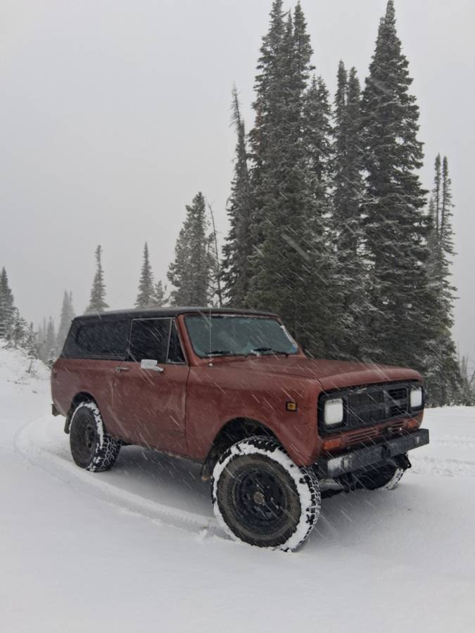 International-scout-ii-1980