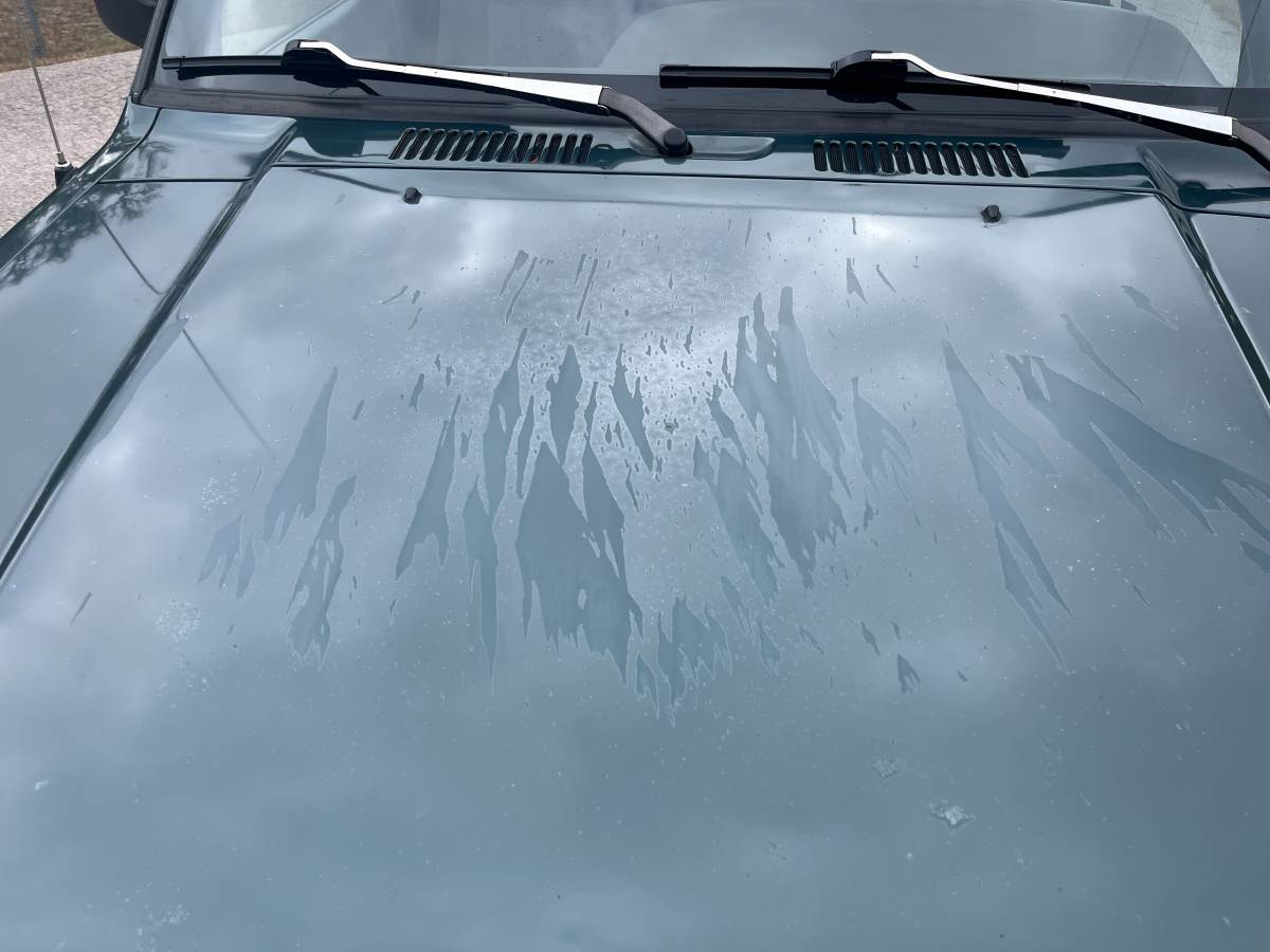 Isuzu-trooper-1995-green-11