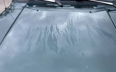 Isuzu-trooper-1995-green-9