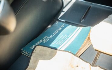 Jaguar-E-Type-1965-Coupe-16