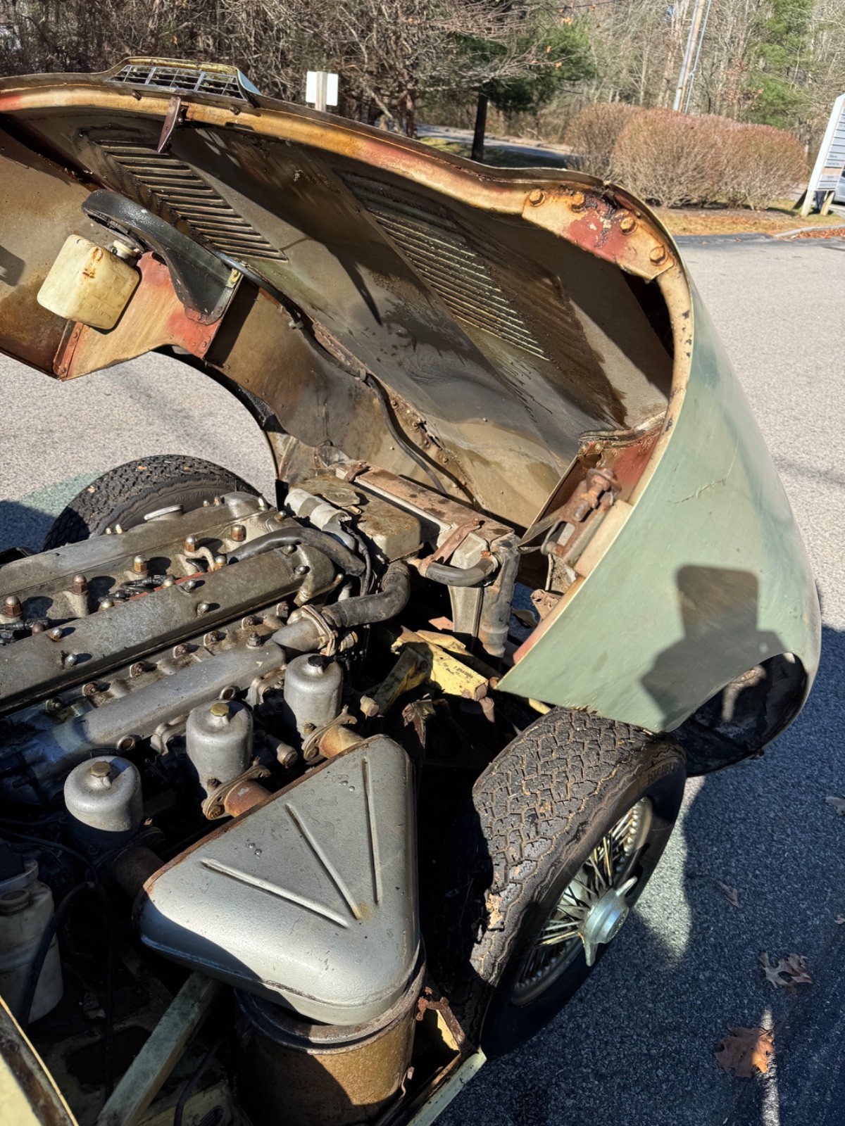 Jaguar-E-Type-1967-Convertible-21