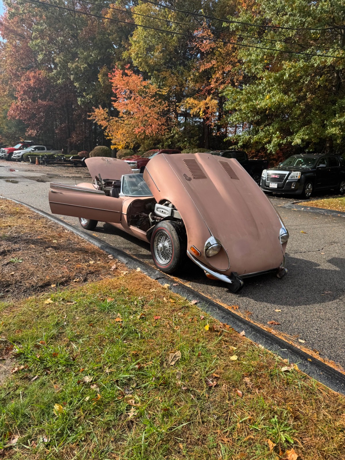 Jaguar-E-Type-1973-Convertible-18