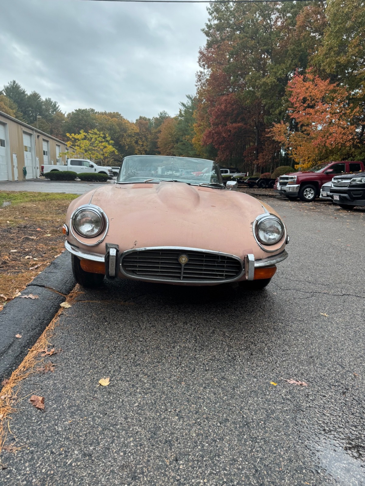 Jaguar-E-Type-1973-Convertible-8