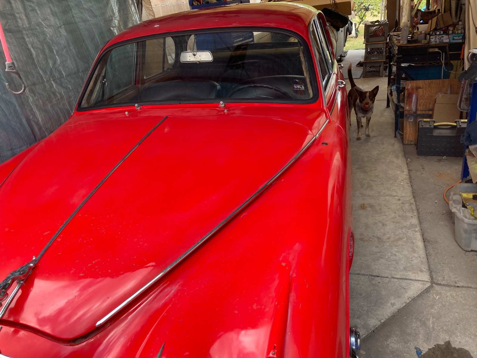 Jaguar-MK2-1960-Sedan-14