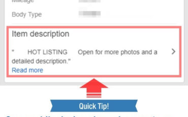 Jaguar-XJ6-1988-Sedan-17