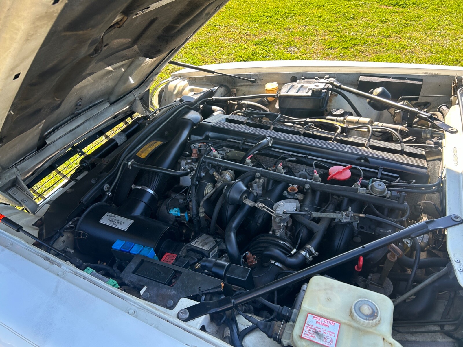 Jaguar-XJS-1994-Convertible-17