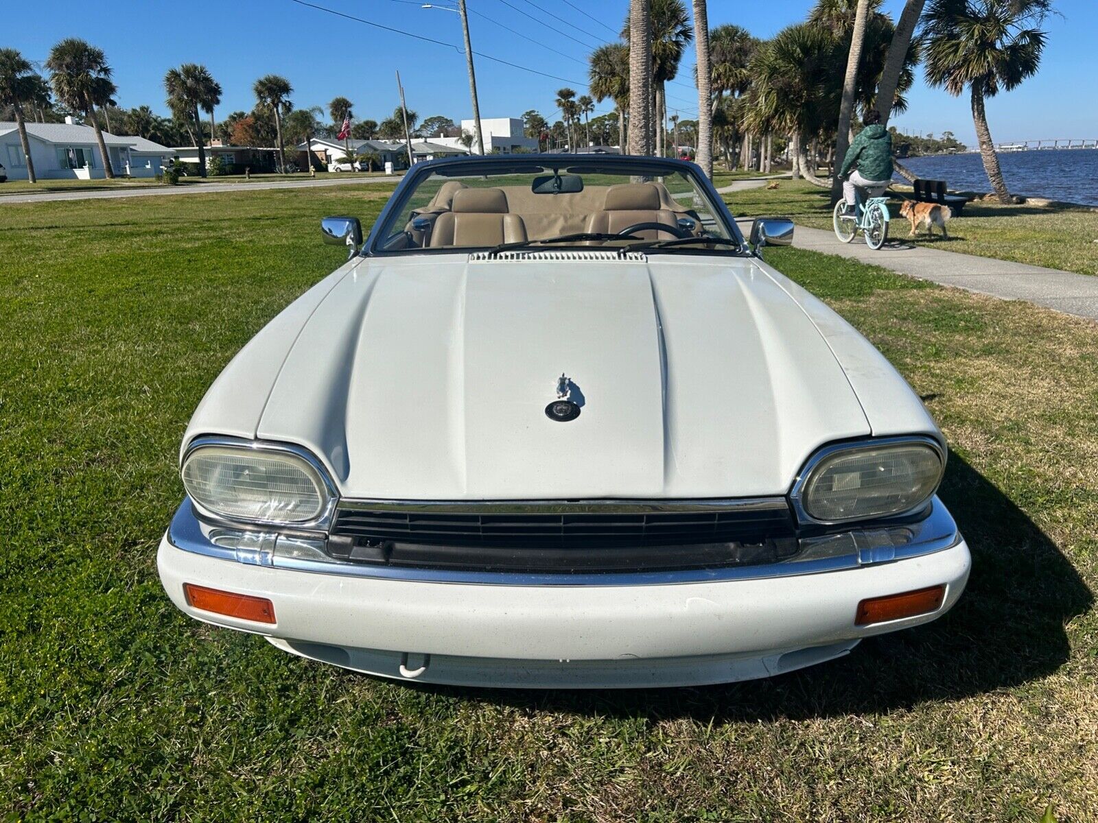 Jaguar-XJS-1994-Convertible-2