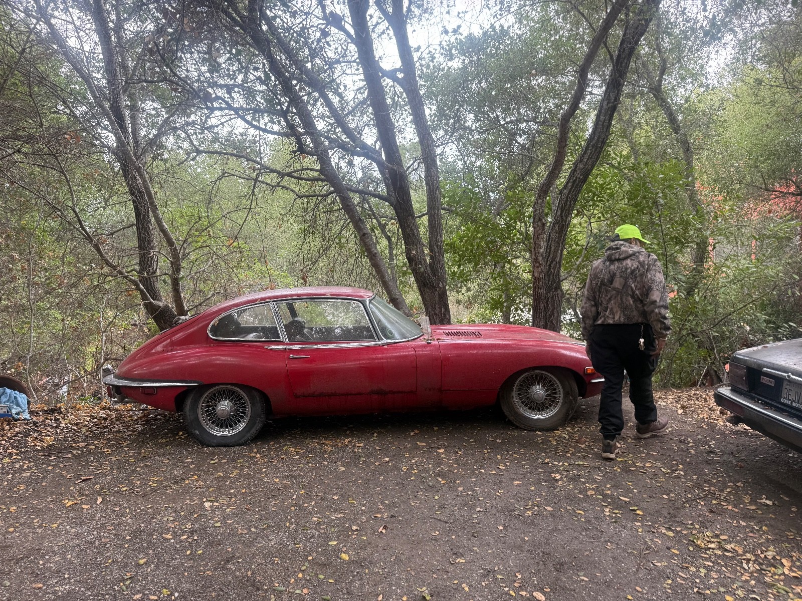 Jaguar-XKE-1969-Hatchback-39