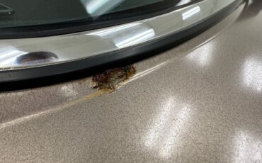 Jaguar-Xj6-1986-Antelope-Metallic-Doeskin-27