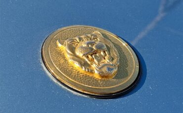 Jaguar-Xjs-1990-BLUE-TAN-15