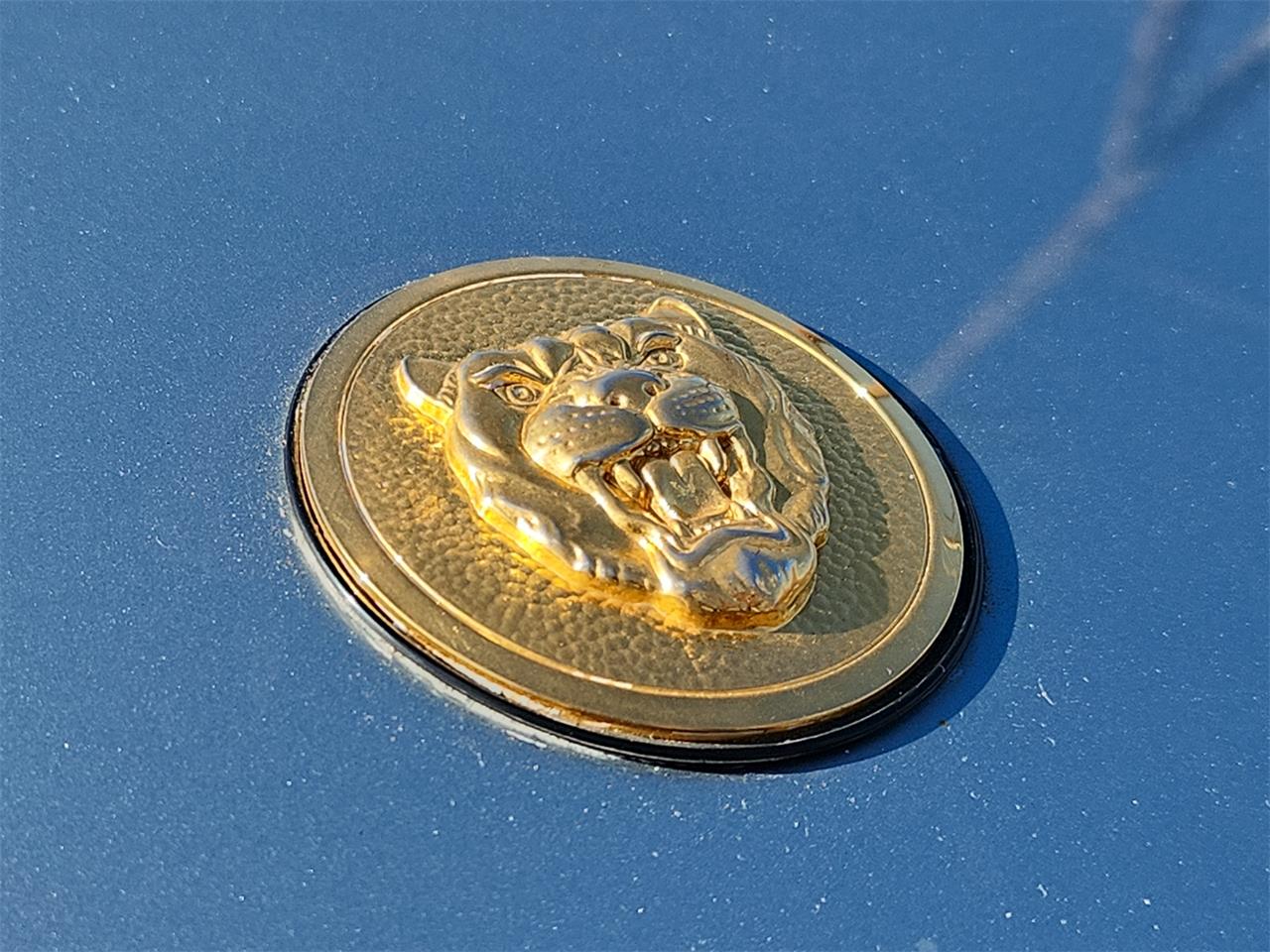 Jaguar-Xjs-1990-BLUE-TAN-15