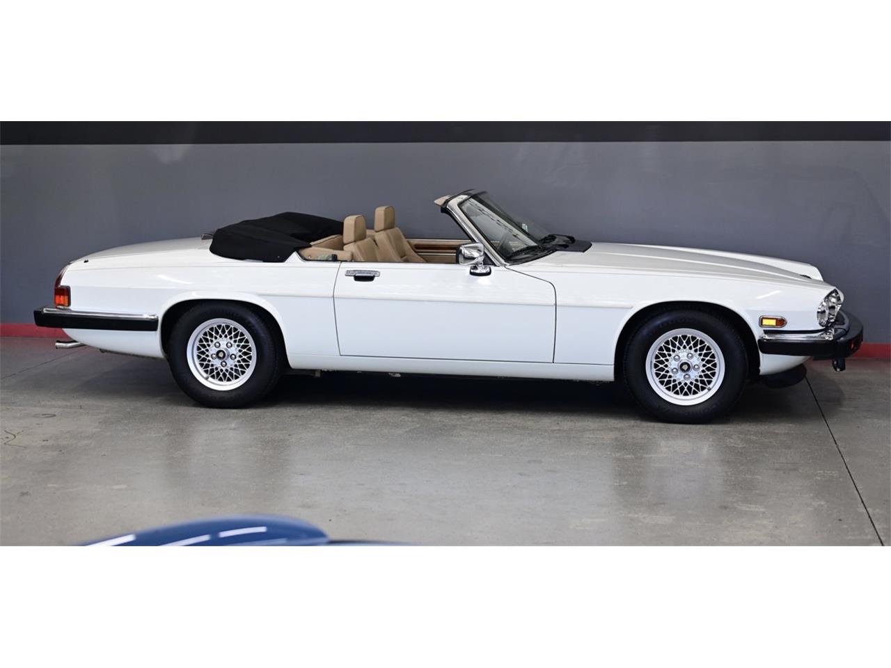 Jaguar-Xjs-1990-White-Beige-1