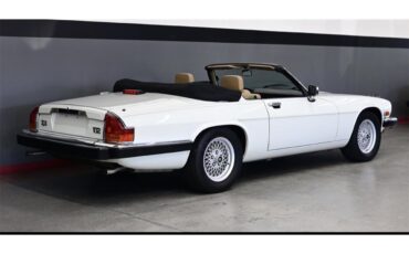 Jaguar-Xjs-1990-White-Beige-10