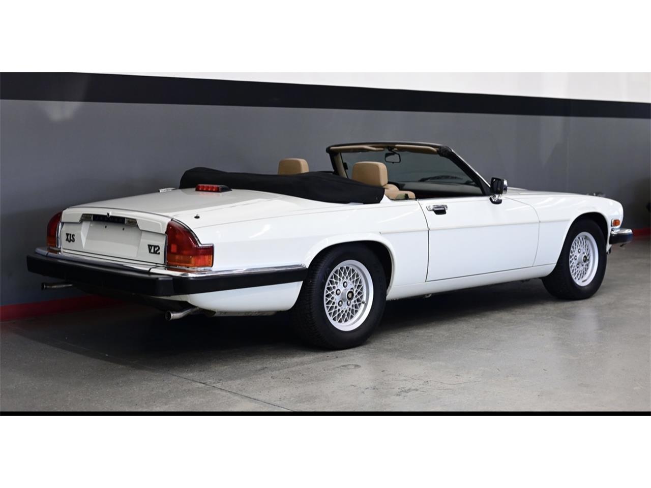 Jaguar-Xjs-1990-White-Beige-10