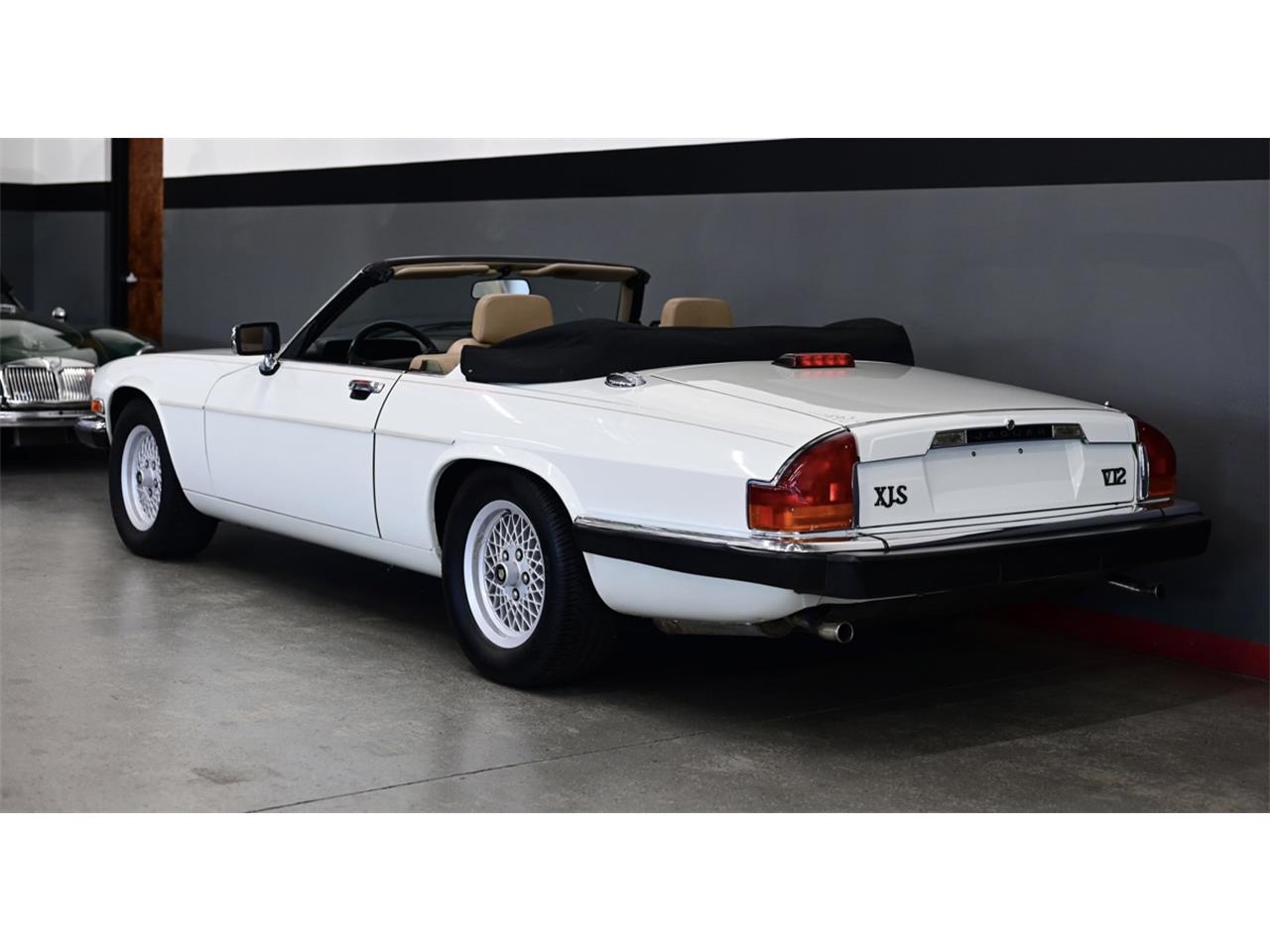 Jaguar-Xjs-1990-White-Beige-12